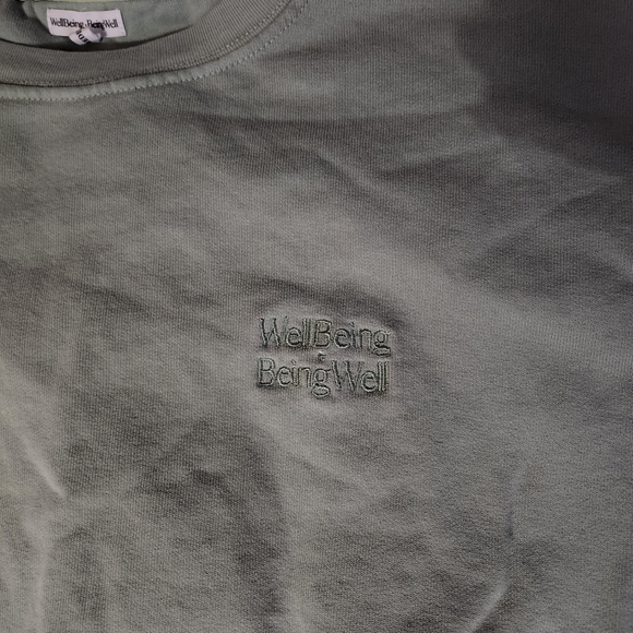 Revolve Well Being + Being Well Goldie Sweatshirt Mint - Picture 4 of 5